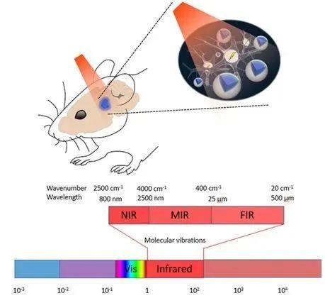 物理因子辅助运动和感觉康复的研究介绍与应用现状-6.jpg