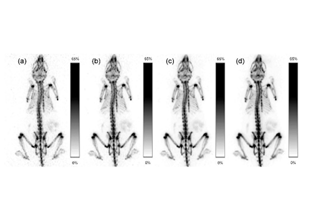 高清晰高灵敏小动物PET成像系统取得进展